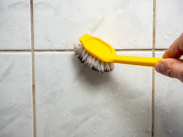 Best Black Mold Remediation in Hinsdale, IL