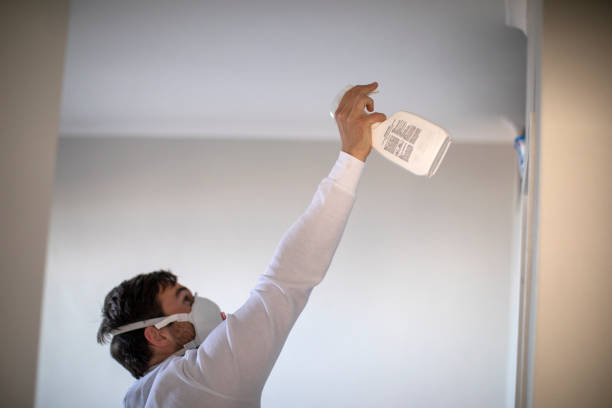 Trusted Hinsdale, IL Mold Remediation Experts